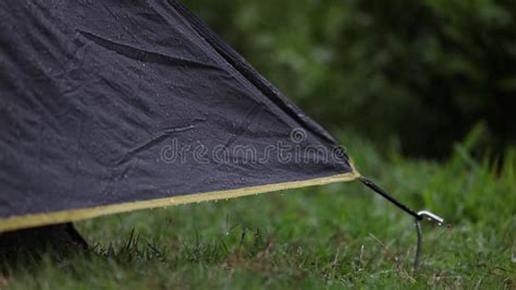 Rain dripping on the tent - sound effect