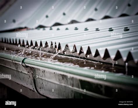 Rain on a corrugated iron roof - sound effect