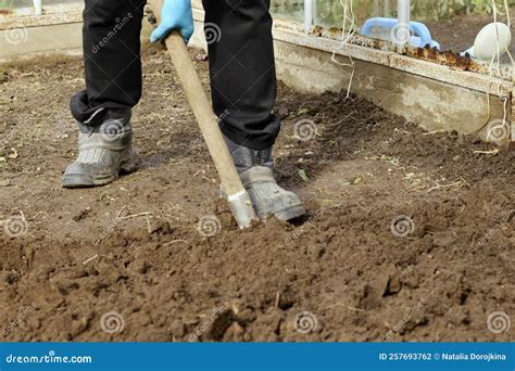 Shovel, digging up the earth with a shovel - sound effect