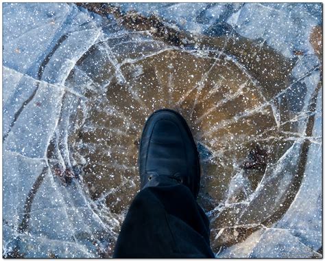 Steps on wet snow and ice, creaking under the sole - sound effect