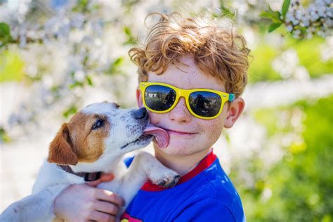 Dog licks its tongue, drinks - sound effect