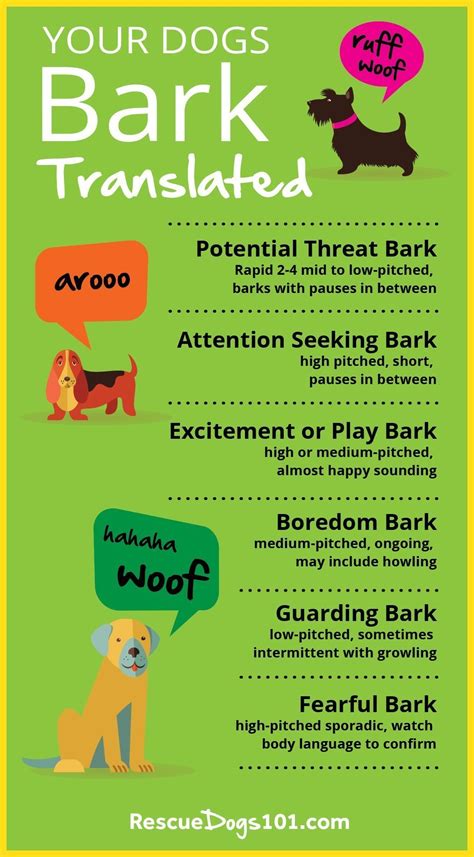 Medium size dog barks (3 options) - sound effect