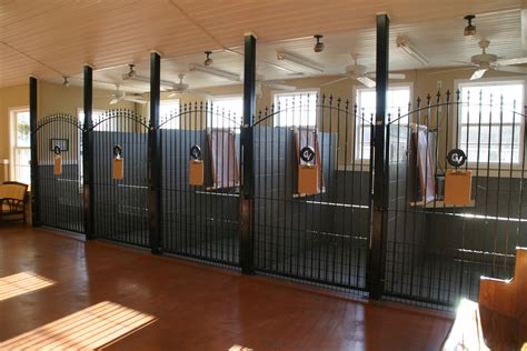 Dogs bark in enclosures, kennel - sound effect