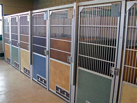 Sound of dogs in a kennel or animal shelter