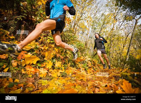 Man running through the leaves - sound effect