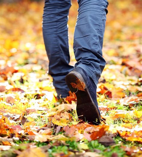 Walking on fallen leaves - sound effect