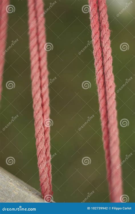 Ropes creak as they hold weight - sound effect