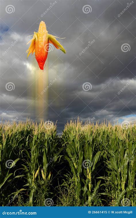 Flying maize - sound effect