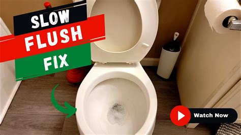 Toilet, drain slow - sound effect