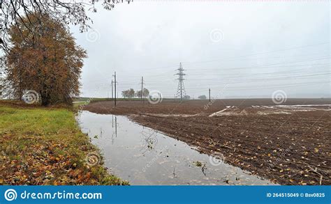 Rain falls on grass and concrete - sound effect