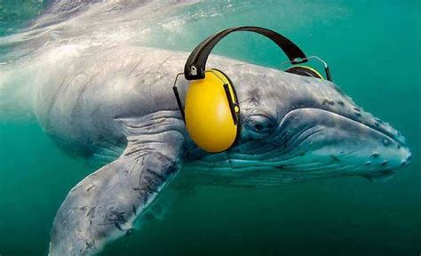 Underwater noise - sound effect