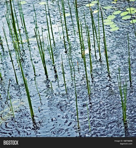 Rain on the pond - sound effect