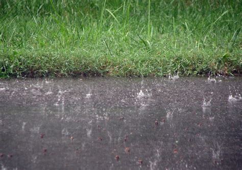 Rain on the sidewalk: traffic in the background (2) - sound effect