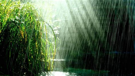 Rain in the tropics sound effect