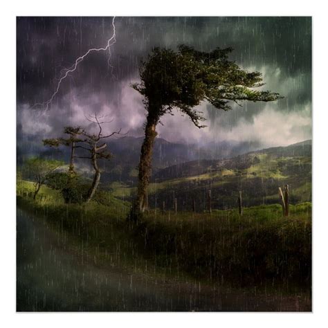 Storm, tree creaks in the wind - sound effect