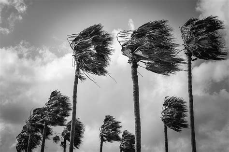Storm wind - sound effect