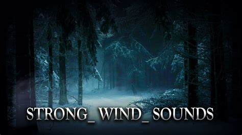 Noise of a strong wind (2) - sound effect