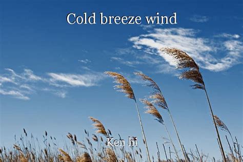 Sound of the cold wind