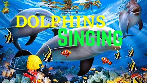 Two singing dolphins - sound effect