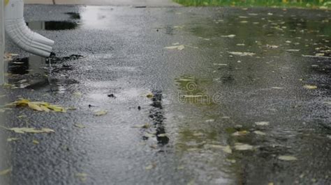 Medium rain with a thunderstorm, on the pavement - sound effect