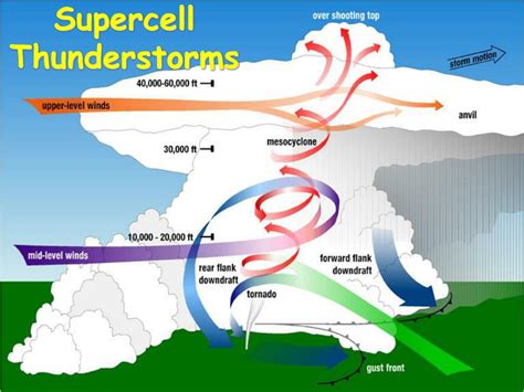 Medium rain with thunderstorm, persistent thunderstorm - sound effect