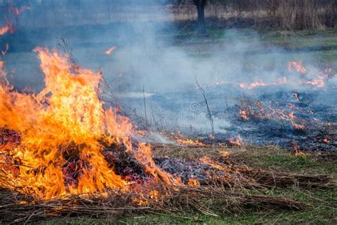 Dry weeds and grass burning - sound effect