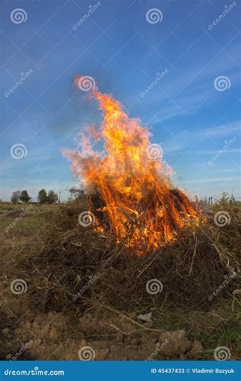 Dry weeds and grass burning - sound effect