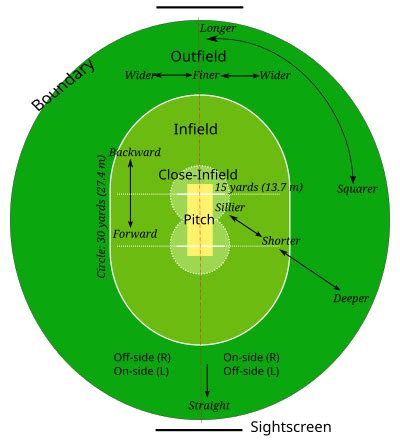 Crickets make sounds in the field