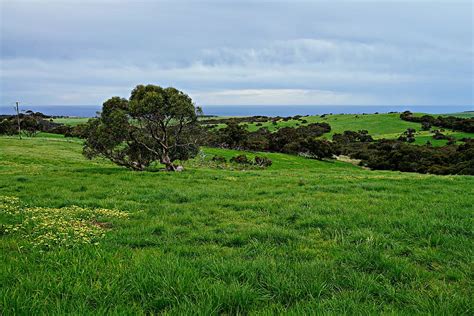 Heavy wind in open space - sound effect