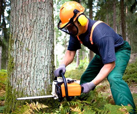 Felling a forest: sawing a tree, falling - sound effect