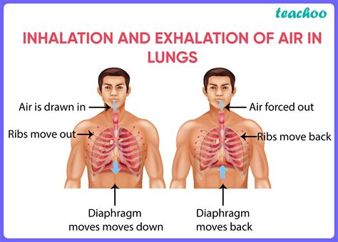 Inhale, draw in air - sound effect