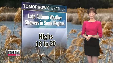 Autumn weather forecast, radio, announcer, tv - sound effect