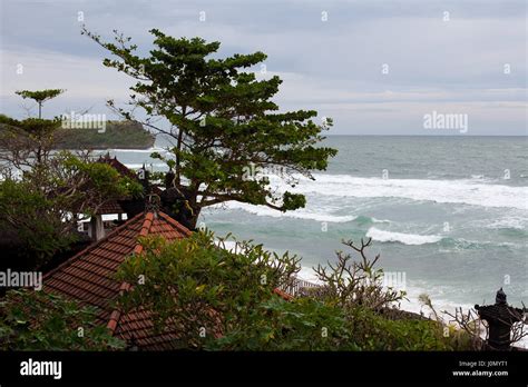 Wind shakes trees, on the coast - sound effect