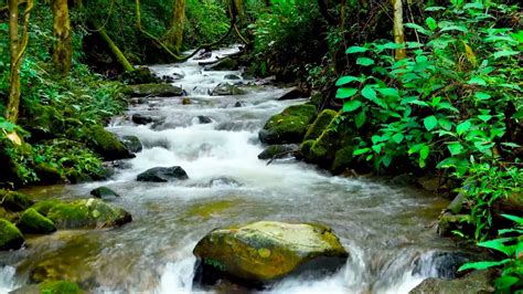 Water, river flowing, stream (3) - sound effect