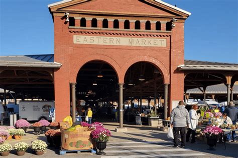 Eastern market: the cry of a camel, the voices of people - sound effect
