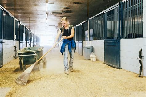 Run the stable cleaner: conveyor, farm - sound effect