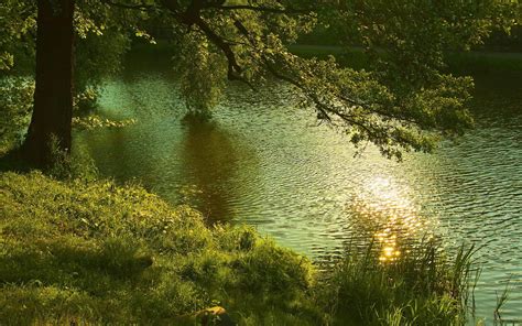 Live sound of a calm river