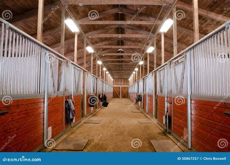 Animals in a paddock or barn - sound effect