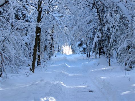 Sound of winter: light breeze