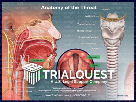 Throat sound effects