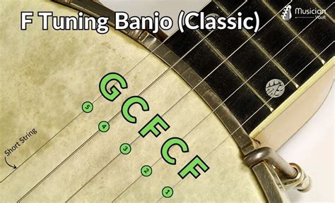 Sound 146. 83 hertz (d) for 5-string banjo tuning