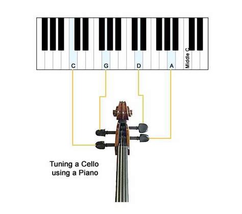 Sound 146. 83 hertz (d) for cello tuning