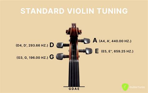 Sound 146. 83 hertz (d) for cello tuning