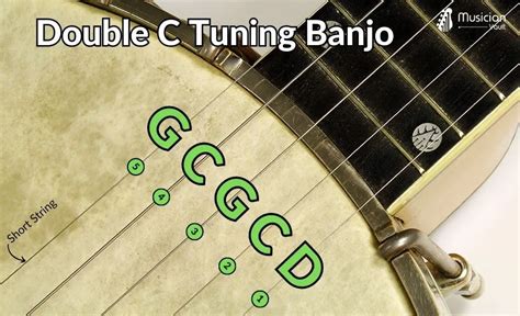 Sound 246. 94 hertz (b) for 5-string banjo tuning