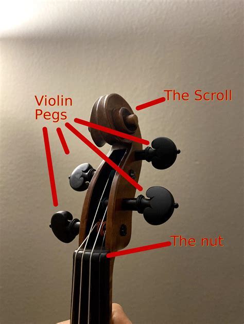 Sound 659. 25 hertz (e) for violin tuning