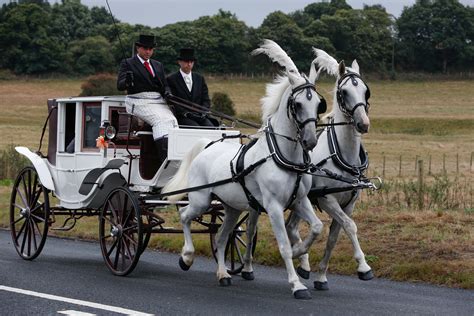 Horse carriage sound effects