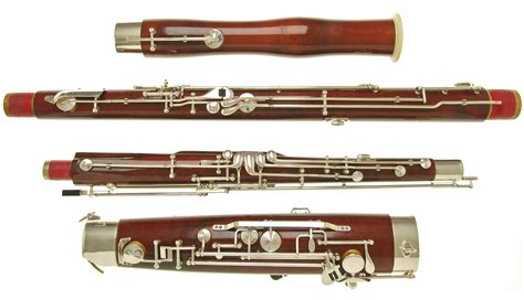 Sound bassoon, bassoon for soundtrack (option 3)