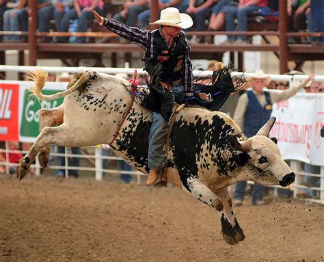 Rodeo sound: cowboys at the finish line, screaming