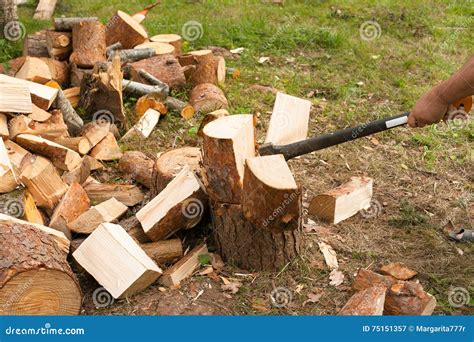 Sound of chopping wood (6)