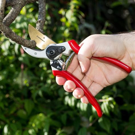 Sound of garden shears: cutting shrubs